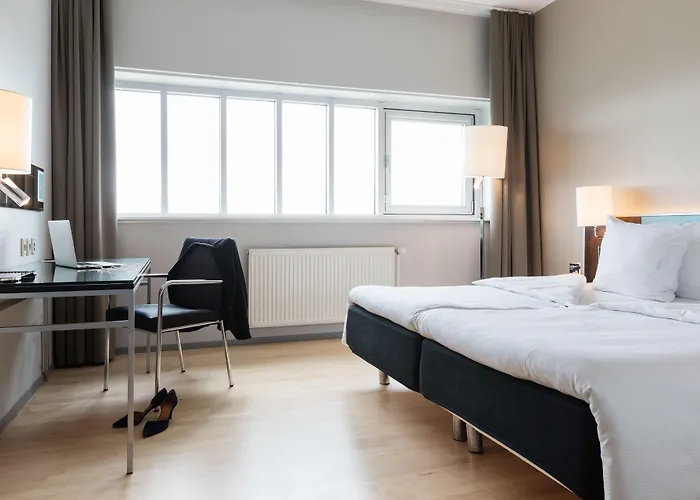 스캔딕 슬루스홀믄 4*