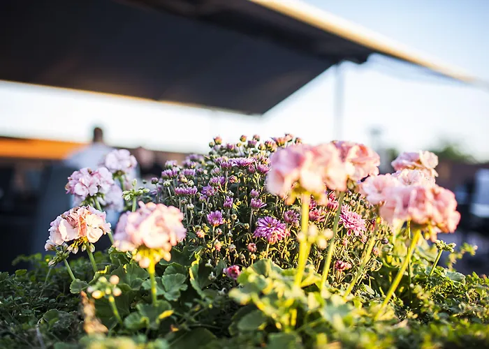 스캔딕 슬루스홀믄 호텔